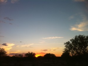 Desert Sunset