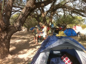 Peyote Ceremony Experience